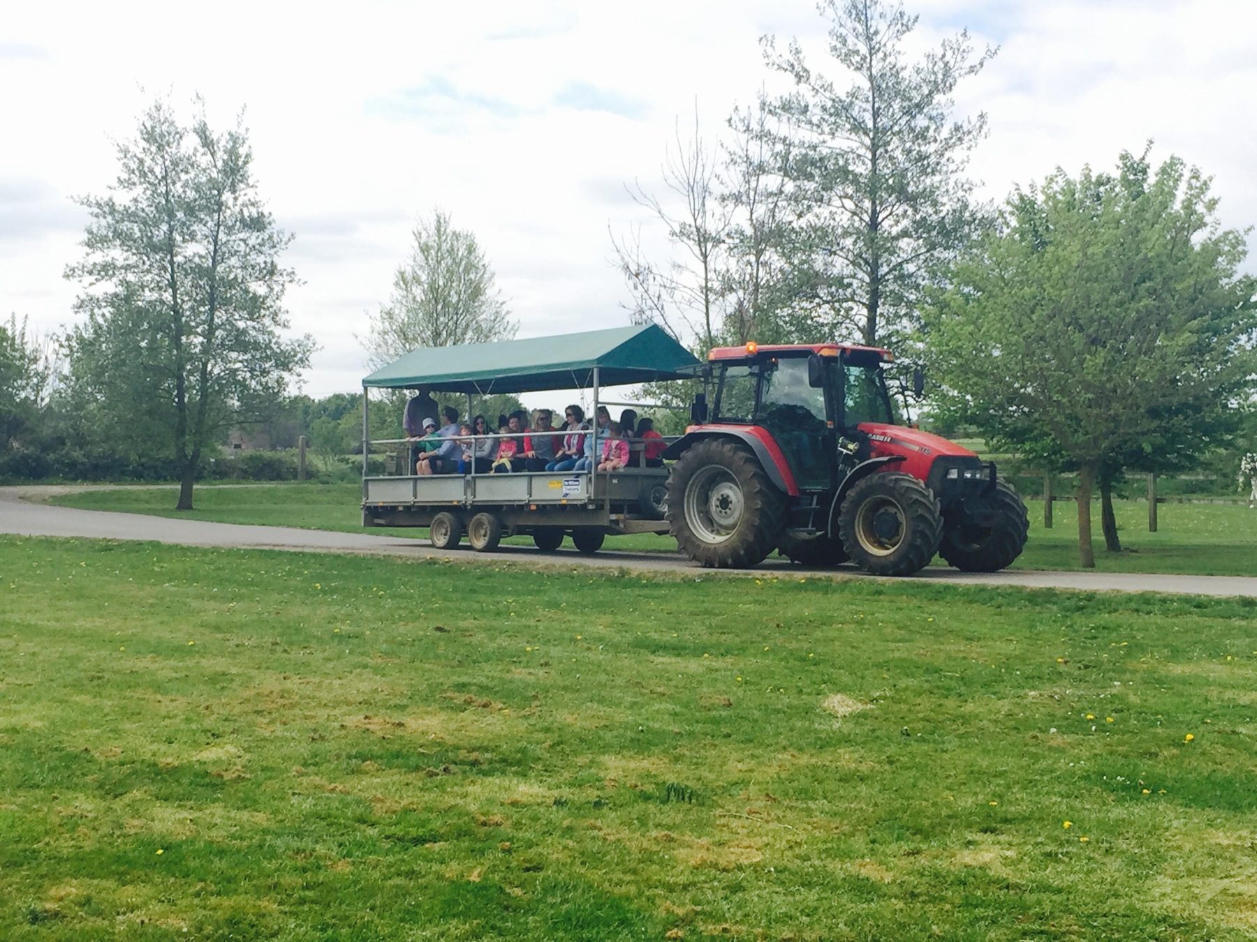 Tractor Rides