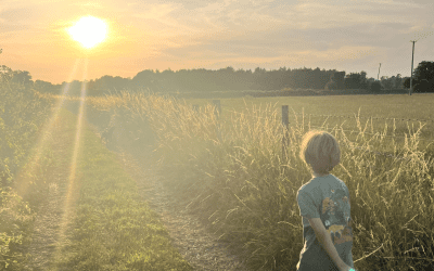 Great family walks from Hartley Farm, near Bath.